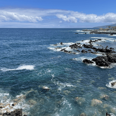 Rocky beach coastline